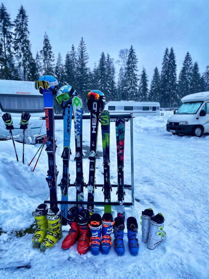 Camp Goracy Potok - Parcele Kamperowe Hotell Szaflary Exteriör bild